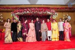 Subbarami Reddy Grand Son Wedding Reception at Delhi 01 - 175 of 246