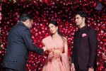 Subbarami Reddy Grand Son Wedding Reception at Delhi 01 - 179 of 246