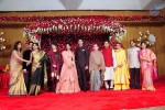 Subbarami Reddy Grand Son Wedding Reception at Delhi 01 - 200 of 246