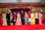 Subbarami Reddy Grand Son Wedding Reception at Delhi 01 - 211 of 246
