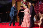 Subbarami Reddy Grand Son Wedding Reception at Delhi 02 - 6 of 246