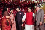 Subbarami Reddy Grand Son Wedding Reception at Delhi 02 - 51 of 246