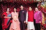 Subbarami Reddy Grand Son Wedding Reception at Delhi 02 - 124 of 246