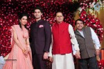 Subbarami Reddy Grand Son Wedding Reception at Delhi 02 - 240 of 246