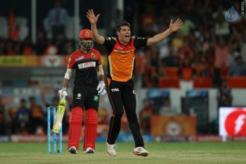 Sunrisers vs Royal Challengers Match Photos - 31 of 41