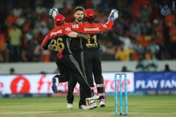 Sunrisers vs Royal Challengers Match Photos - 32 of 41