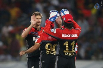 Sunrisers vs Royal Challengers Match Photos - 33 of 41