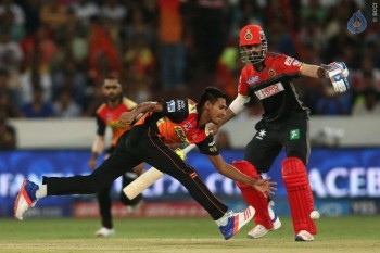 Sunrisers vs Royal Challengers Match Photos - 35 of 41