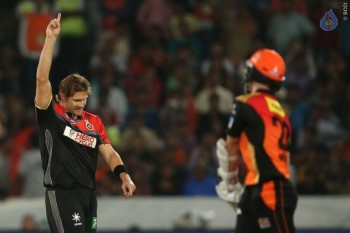 Sunrisers vs Royal Challengers Match Photos - 16 of 41