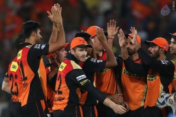 Sunrisers vs Royal Challengers Match Photos - 40 of 41