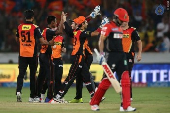 Sunrisers vs Royal Challengers Match Photos - 20 of 41