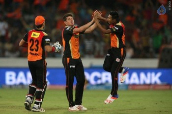 Sunrisers vs Royal Challengers Match Photos - 42 of 41