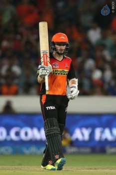 Sunrisers vs Royal Challengers Match Photos - 25 of 41