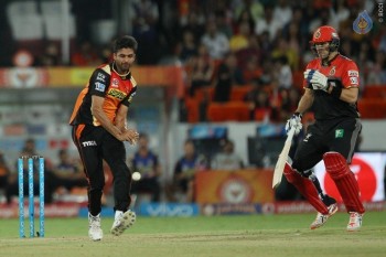 Sunrisers vs Royal Challengers Match Photos - 31 of 41