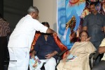 SV Ranga Rao Samagra Cine Jeevitham Book Launch - 125 of 195