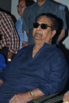 SV Ranga Rao Samagra Cine Jeevitham Book Launch - 146 of 195