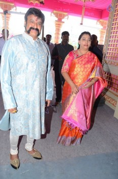 T. Subbarami Reddy Grandson Keshav Wedding Photos 3 - 46 of 79