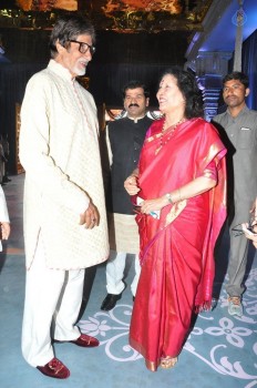 T. Subbarami Reddy Grandson Keshav Wedding Photos 1 - 53 of 62
