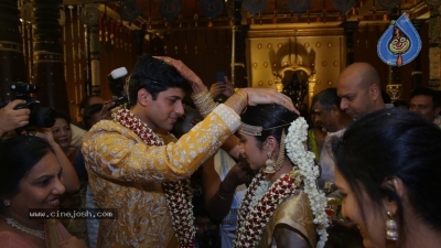 T Subbarami Reddy Grandson Anirudh Wedding Photos - 2 of 76
