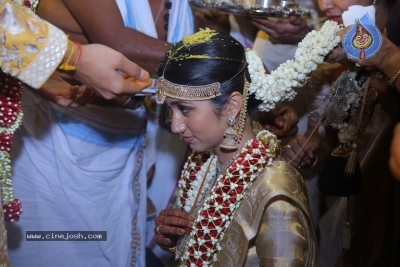 T Subbarami Reddy Grandson Anirudh Wedding Photos - 18 of 76
