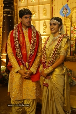 T Subbarami Reddy Grandson Anirudh Wedding Photos - 30 of 76