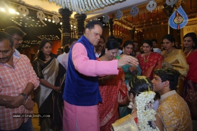 T Subbarami Reddy Grandson Anirudh Wedding Photos - 45 of 76