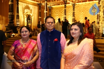 T Subbarami Reddy Grandson Anirudh Wedding Photos - 46 of 76