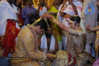T Subbarami Reddy Grandson Anirudh Wedding Photos - 49 of 76