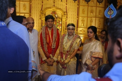 T Subbarami Reddy Grandson Anirudh Wedding Photos - 60 of 76