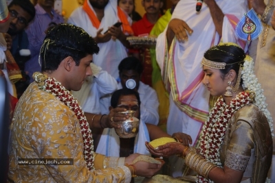 T Subbarami Reddy Grandson Anirudh Wedding Photos - 63 of 76