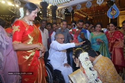 T Subbarami Reddy Grandson Anirudh Wedding Photos - 65 of 76