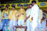 TDP Mahanadu 2013 Photos - 13 of 150