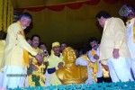 TDP Mahanadu 2013 Photos - 143 of 150