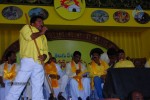 TDP Mahanadu 2013 Photos - 20 of 150