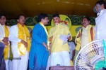 TDP Mahanadu 2013 Photos - 35 of 150