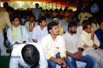 TDP Mahanadu 2013 Photos - 42 of 150