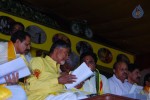 TDP Mahanadu 2013 Photos - 43 of 150