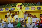 TDP Mahanadu 2013 Photos - 60 of 150