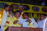 TDP Mahanadu 2013 Photos - 70 of 150
