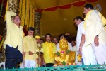 TDP Mahanadu 2013 Photos - 118 of 150