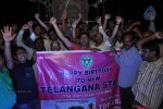 Telangana Formation Celebrations  - 22 of 319