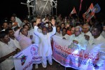 Telangana Formation Celebrations  - 49 of 319