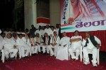 Telangana Formation Celebrations  - 203 of 319