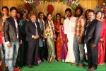 Thambi Ramaiah Daughter Wedding n Reception - 11 of 68