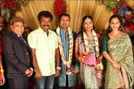 Thambi Ramaiah Daughter Wedding n Reception - 12 of 68