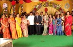 Thambi Ramaiah Daughter Wedding n Reception - 16 of 68