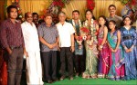 Thambi Ramaiah Daughter Wedding n Reception - 21 of 68