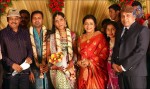 Thambi Ramaiah Daughter Wedding n Reception - 59 of 68