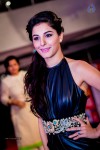 Top Celebs at SIIMA Awards 2014 - 6 of 150