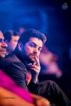 Top Celebs at SIIMA Awards 2014 - 29 of 150